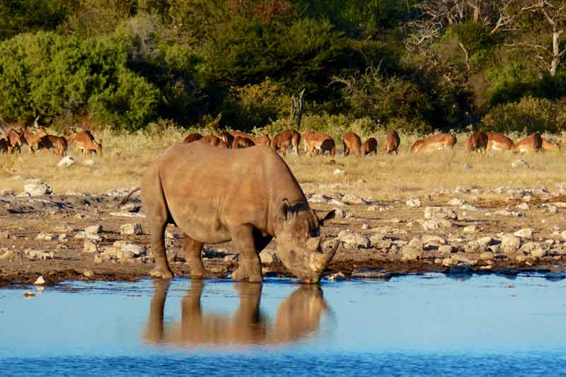 Namibia